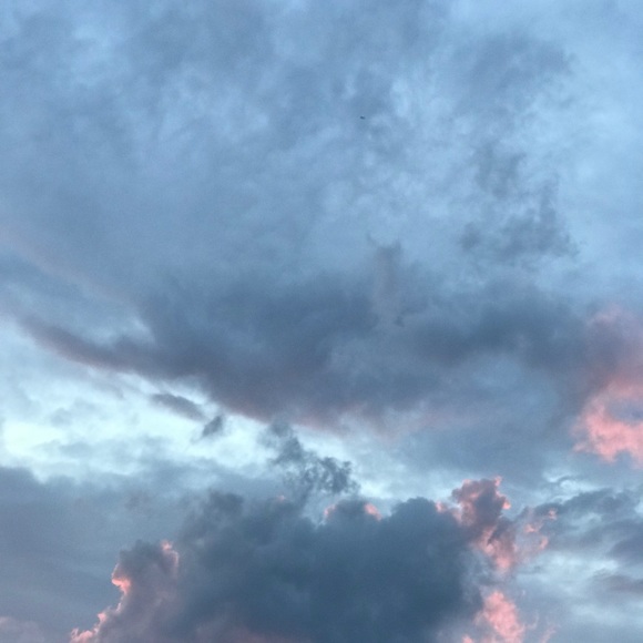 Meet your Posher, Hayden - Picture 1 of 1